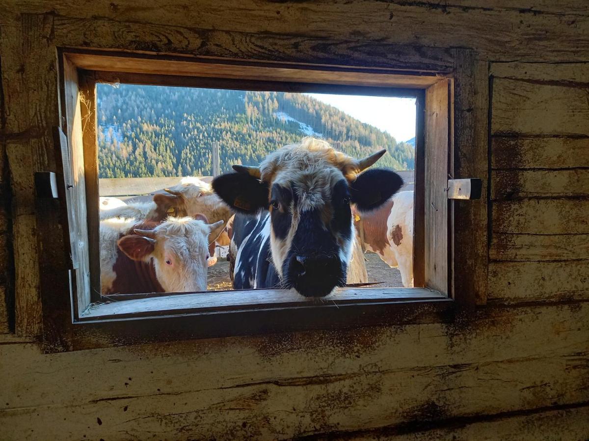 Apartment Schoenwetter Grosssolk Eksteriør bilde