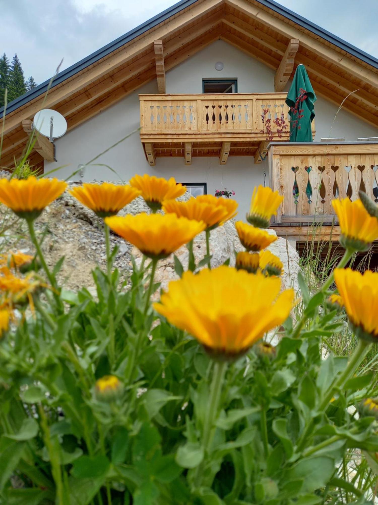 Apartment Schoenwetter Grosssolk Eksteriør bilde